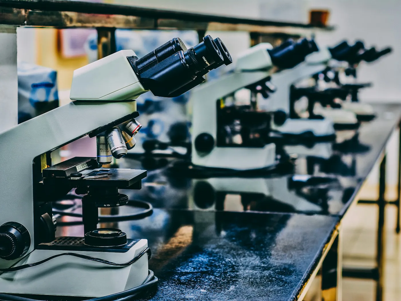 A row of microscopes set out along a laboratory bench before a class arrives.